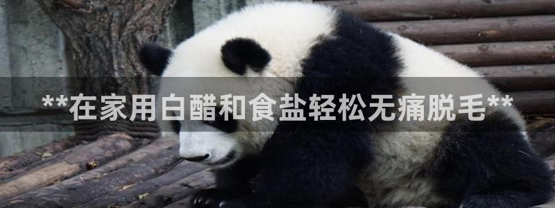 威九国际人民网
