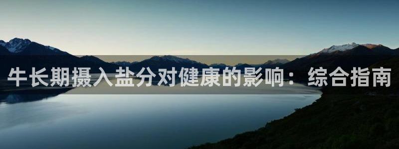 威九国际软件公司简介