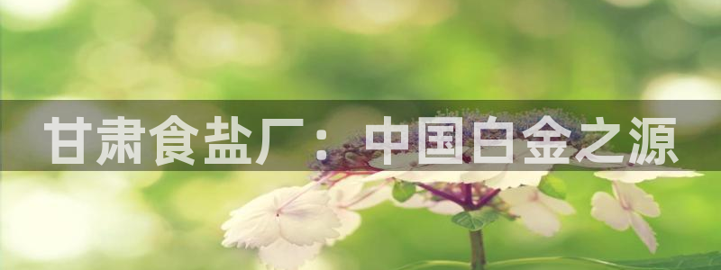 威九国际app网站官网