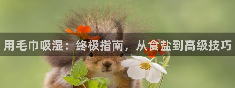 威九国际AN