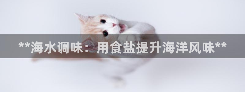 威九国际空降服务怎么样