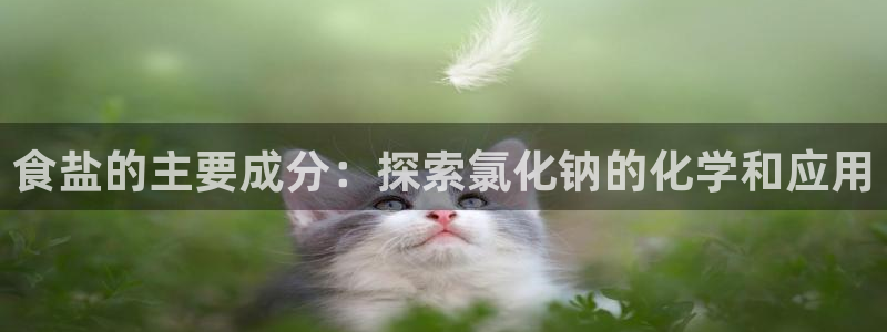 威九国际com