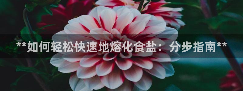 威九国际app网站