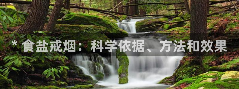 威九国际78mb特点