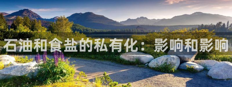 威九国际网站游戏