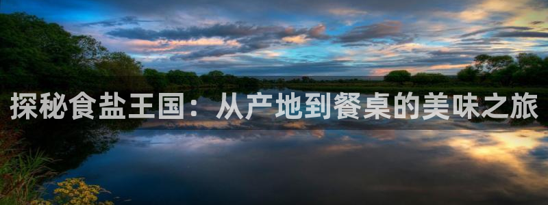 威九国际com