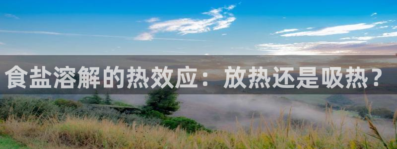 威九国际女星