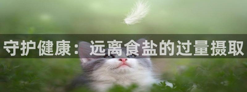 威九国际电子游戏