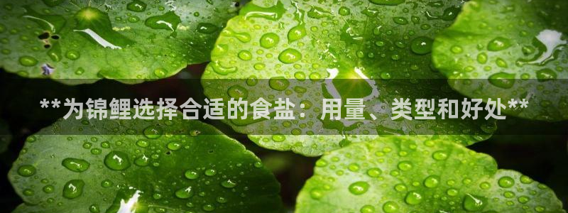 威九国际网站安全吗