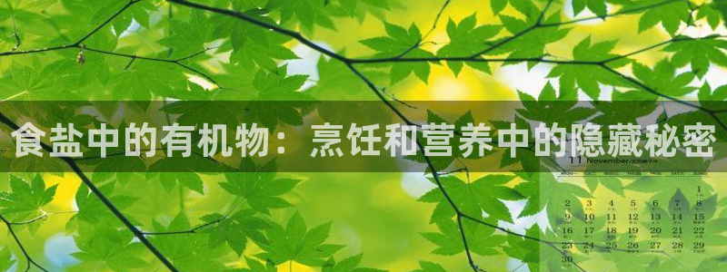 威九国际app客服电话多少