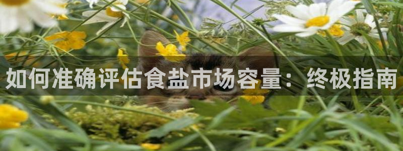 威九国际惠子