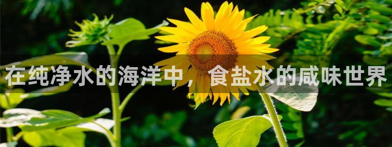 威九国际66视频